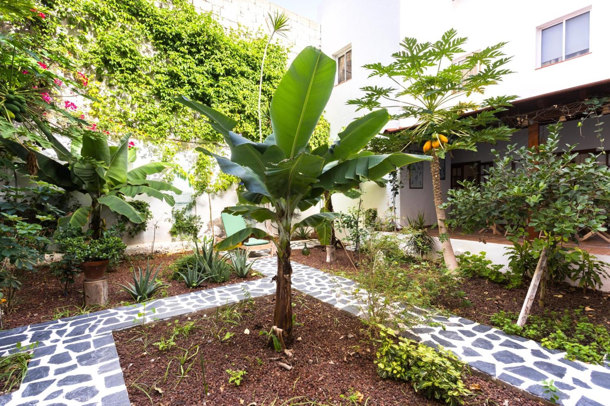 Garachico Center Secret Garden Villa Bagian luar foto