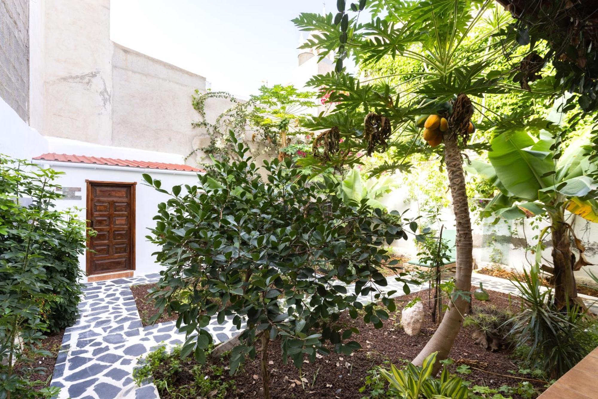 Garachico Center Secret Garden Villa Bagian luar foto